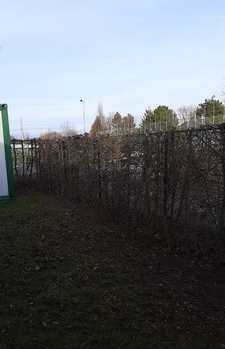 Hecke2