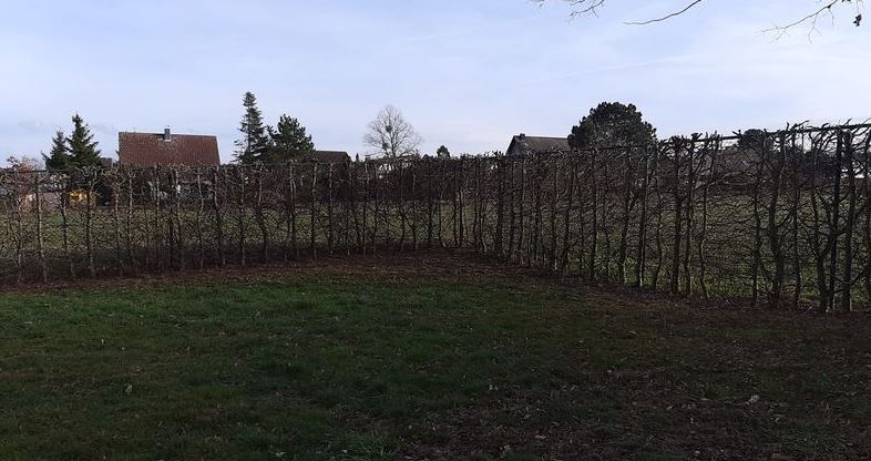 Hecke3