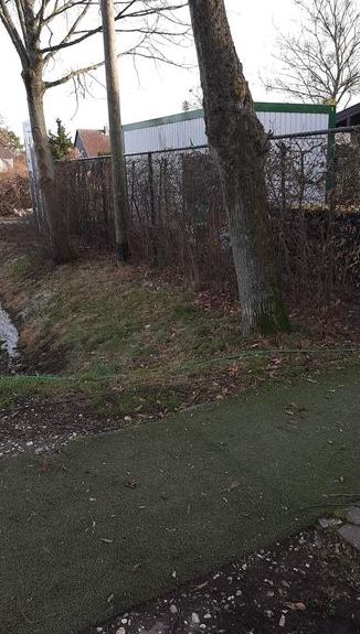 Hecke 1